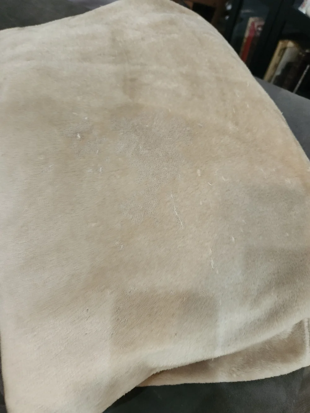 Ralph Lauren soft plush